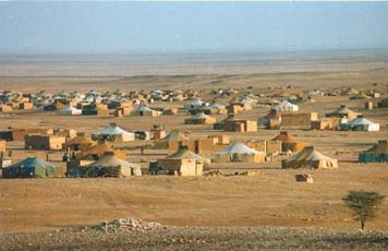 Campamentos Sahrauis de Tindouf